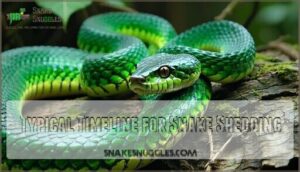 typical timeline for snake shedding
