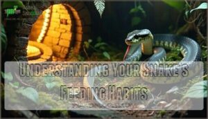 understanding your snake’s feeding habits