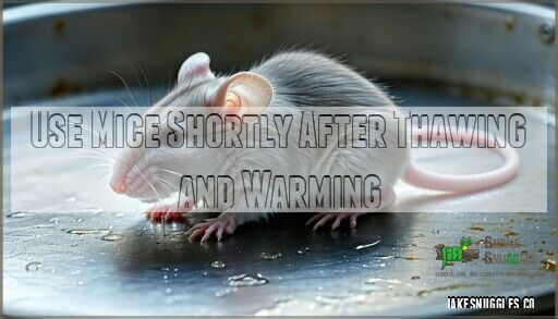 Picture of Thaw Frozen Mice for Snakes: Safe Methods & Tips That Actually Work