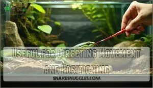 useful for directing movement and positioning useful for directing movement and positioning