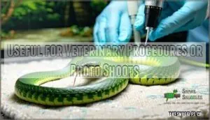 useful for veterinary procedures or photo shoots useful for veterinary procedures or photo shoots