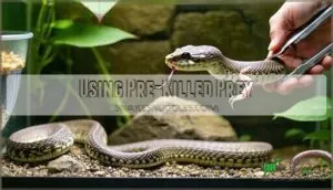 using pre-killed prey using pre-killed prey