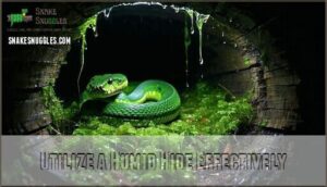 utilize a humid hide effectively