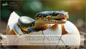 venomous snakes