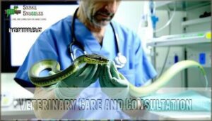 veterinary care and consultation