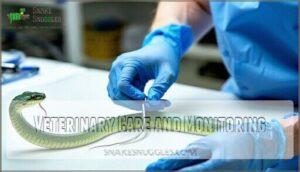 veterinary care and monitoring