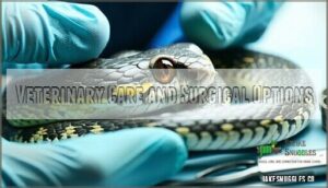 veterinary care and surgical options