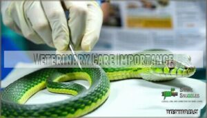 veterinary care importance