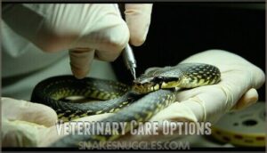veterinary care options