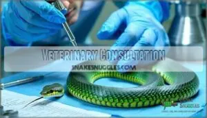 veterinary consultation veterinary consultation