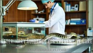 veterinary guidance for preventive care