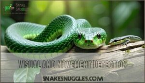 visual and movement detection