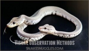 visual observation methods