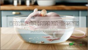 warming the mouse for digestion