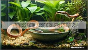 water and feeding essentials