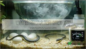 water bowls and humidity