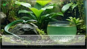 water bowls and substrate