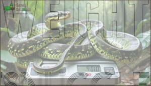 weight