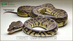 weight loss indicators