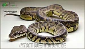 weight loss indicators weight loss indicators