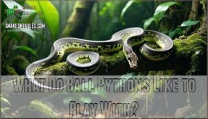 what do ball pythons like to play with