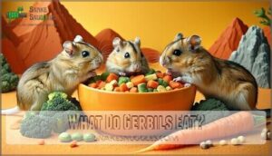 what do gerbils eat