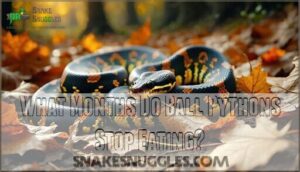 what months do ball pythons stop eating