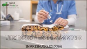 when to seek veterinary assistance