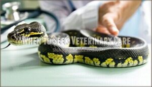when to seek veterinary care