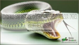 when to seek veterinary care for squeaking