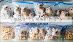 where to buy frozen rodents