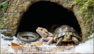 which reptiles brumate