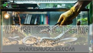 why use tongs for feeding snakes