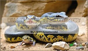 will a ball python eat a leopard gecko