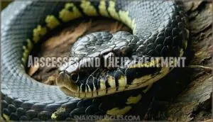 abscesses and their treatment abscesses and their treatment