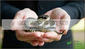 adaptability to handling