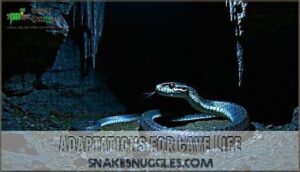 adaptations for cave life