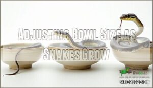 adjusting bowl size as snakes grow
