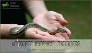 advanced handling techniques advanced handling techniques