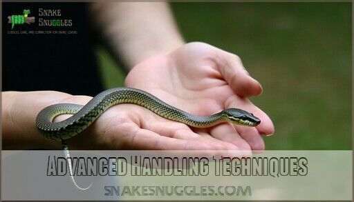 Picture of Snake Stress Reduction Techniques: Expert Tips for Happier, Calmer Snakes