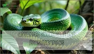 advanced snake care and considerations advanced snake care and considerations