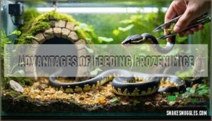 advantages of feeding frozen mice