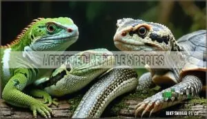 affected reptile species affected reptile species