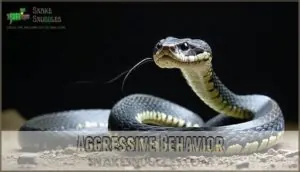 aggressive behavior aggressive behavior