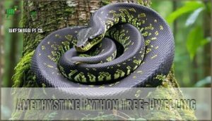 amethystine python tree-dwelling
