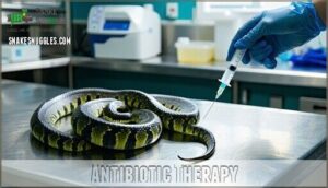 antibiotic therapy