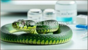 antifungal medications