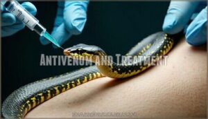 antivenom and treatment