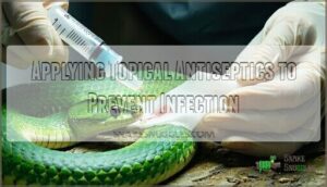 applying topical antiseptics to prevent infection