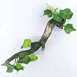 AQUA KT Reptile Corner Branch B07Z7PRV65